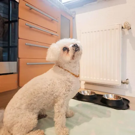 Freyzeit Apartment Speyer