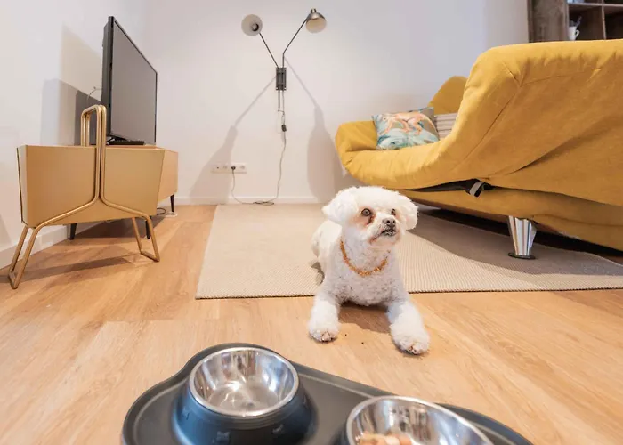 Freyzeit * שפייר